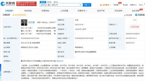 吉利科技重慶公司注銷始末 成立不足一年，新能源原動設(shè)備銷售業(yè)務(wù)何去何從？